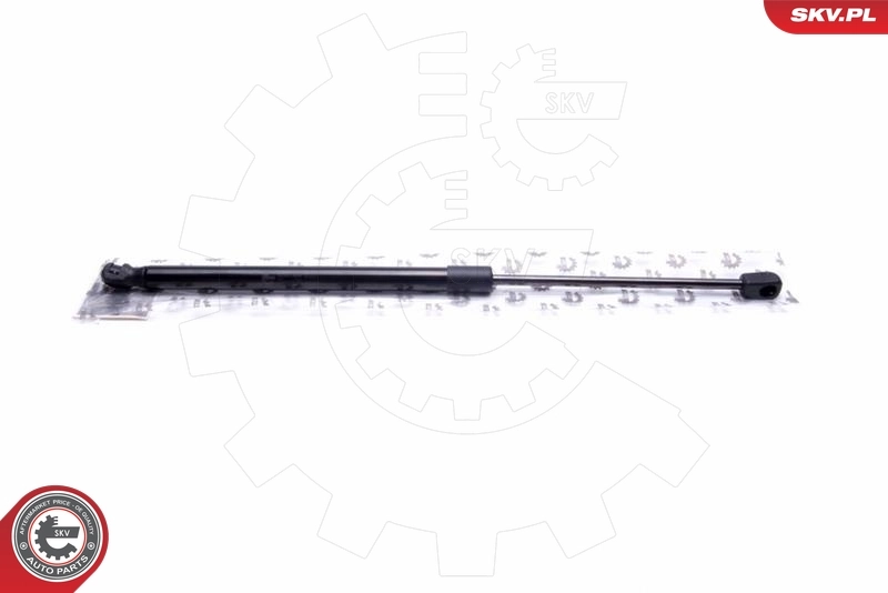 Gas Spring, boot/cargo area